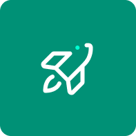 Square